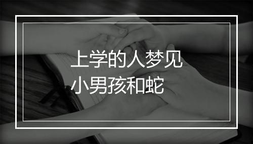 上学的人梦见小男孩和蛇