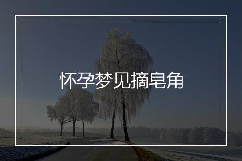 怀孕梦见摘皂角