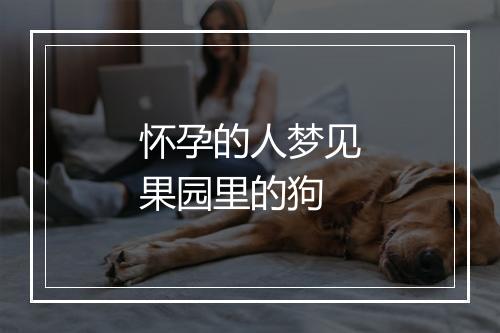 怀孕的人梦见果园里的狗