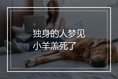 独身的人梦见小羊羔死了