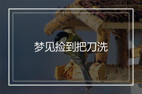 梦见捡到把刀洗