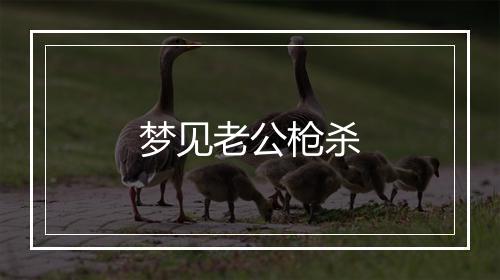 梦见老公枪杀