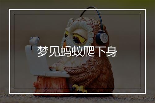 梦见蚂蚁爬下身