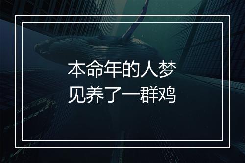 本命年的人梦见养了一群鸡