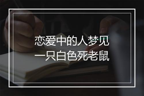 恋爱中的人梦见一只白色死老鼠