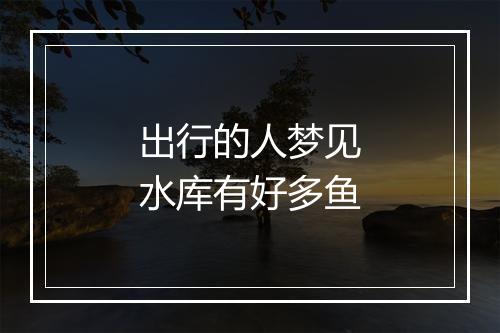 出行的人梦见水库有好多鱼