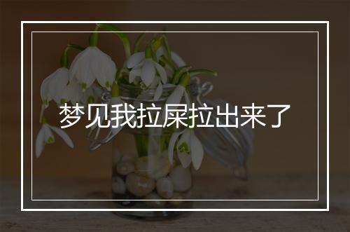 梦见我拉屎拉出来了