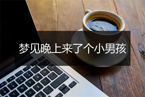 梦见晚上来了个小男孩