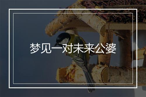 梦见一对未来公婆