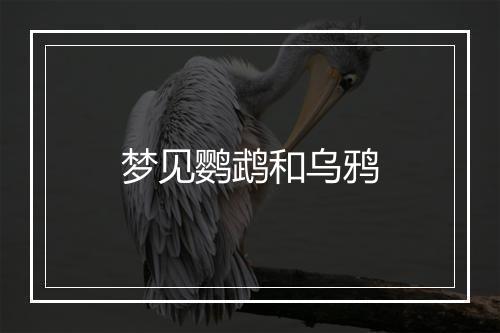 梦见鹦鹉和乌鸦