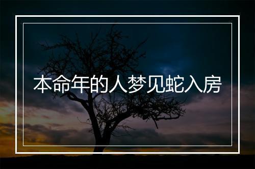 本命年的人梦见蛇入房