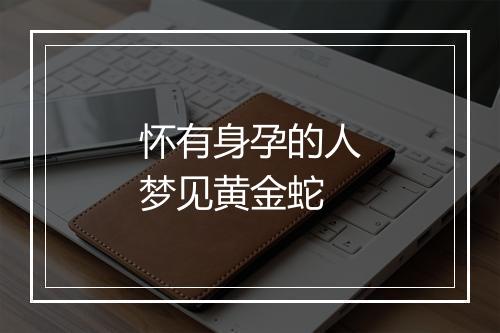 怀有身孕的人梦见黄金蛇