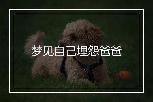 梦见自己埋怨爸爸