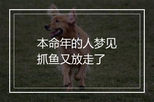 本命年的人梦见抓鱼又放走了