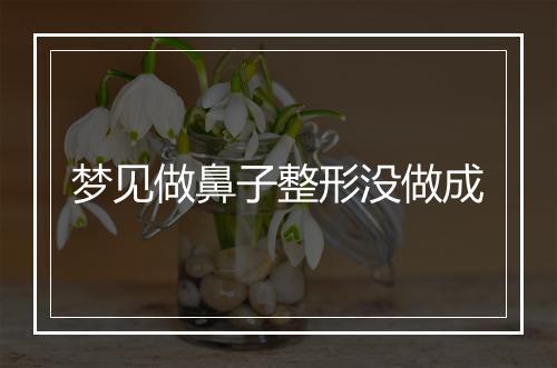 梦见做鼻子整形没做成