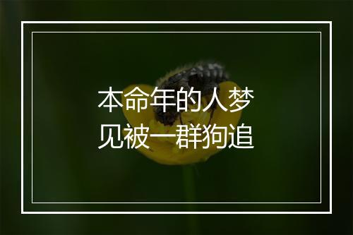 本命年的人梦见被一群狗追