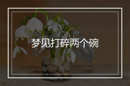 梦见打碎两个碗