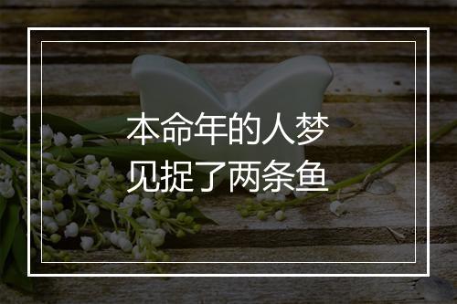 本命年的人梦见捉了两条鱼