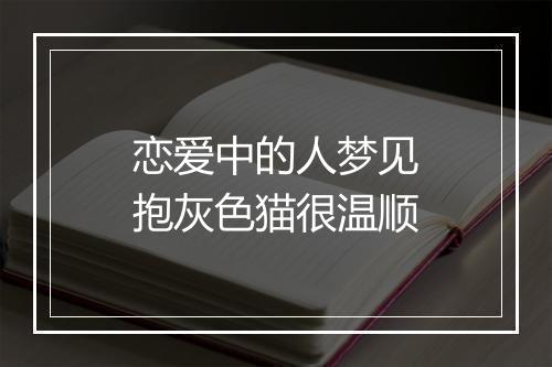 恋爱中的人梦见抱灰色猫很温顺