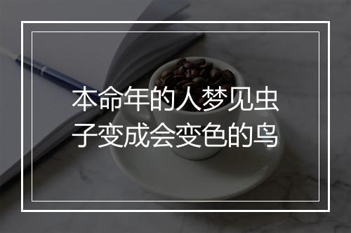 本命年的人梦见虫子变成会变色的鸟