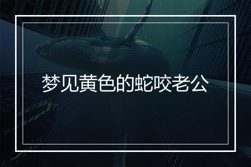 梦见黄色的蛇咬老公