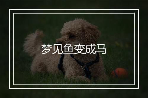 梦见鱼变成马