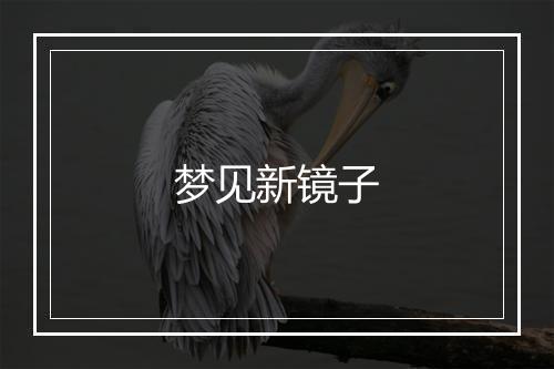 梦见新镜子