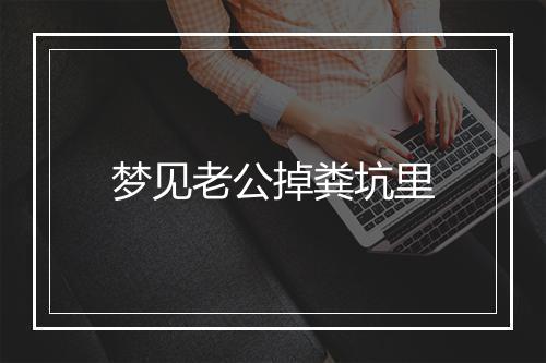 梦见老公掉粪坑里