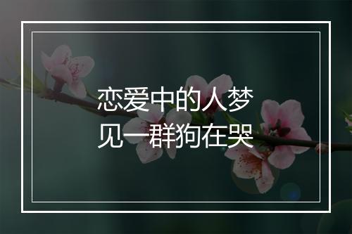 恋爱中的人梦见一群狗在哭