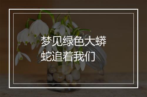 梦见绿色大蟒蛇追着我们