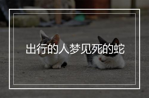 出行的人梦见死的蛇