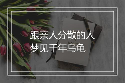 跟亲人分散的人梦见千年乌龟