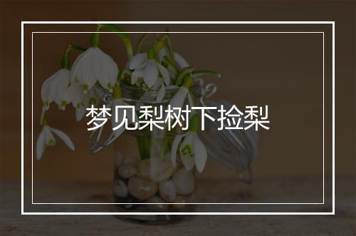 梦见梨树下捡梨