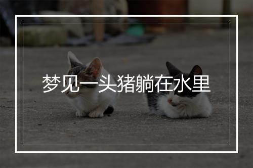 梦见一头猪躺在水里