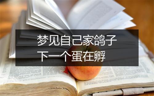 梦见自己家鸽子下一个蛋在孵