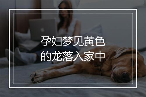 孕妇梦见黄色的龙落入家中