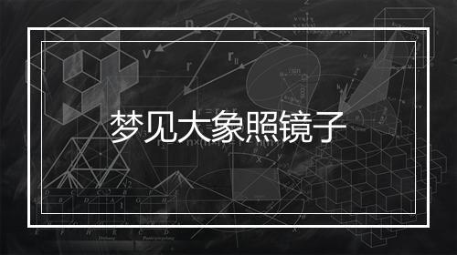 梦见大象照镜子