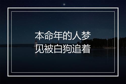 本命年的人梦见被白狗追着