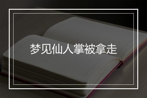 梦见仙人掌被拿走