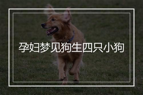 孕妇梦见狗生四只小狗