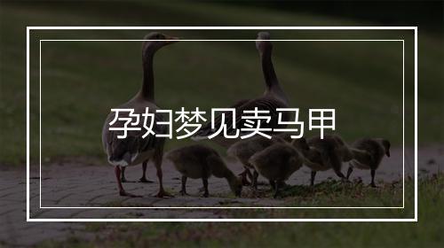 孕妇梦见卖马甲