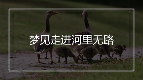 梦见走进河里无路