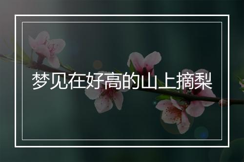 梦见在好高的山上摘梨