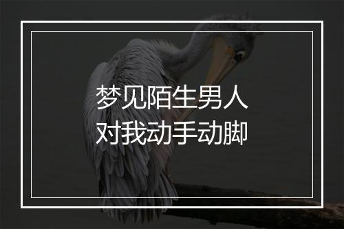 梦见陌生男人对我动手动脚