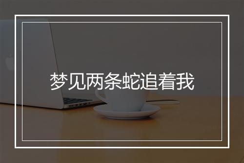 梦见两条蛇追着我