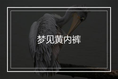 梦见黄内裤