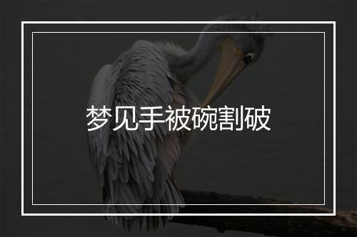 梦见手被碗割破