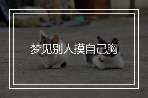 梦见别人摸自己胸