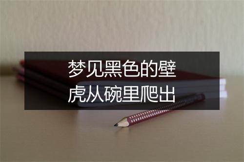 梦见黑色的壁虎从碗里爬出