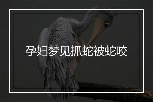 孕妇梦见抓蛇被蛇咬